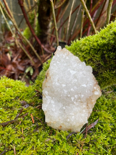 4+ Inch Quartz Tipped Crystal Plate