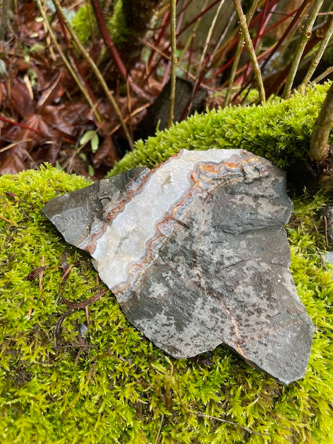 8+ Inch Agate Banded Crystal Vein (UNIQUE)