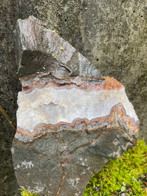 8+ Inch Agate Banded Crystal Vein (UNIQUE)