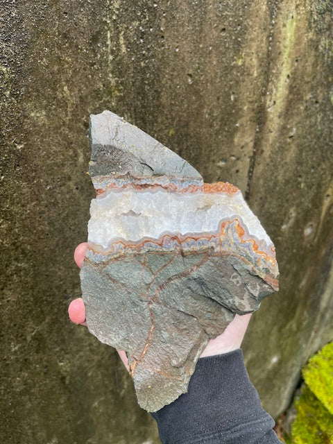 8+ Inch Agate Banded Crystal Vein (UNIQUE)