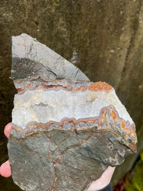 8+ Inch Agate Banded Crystal Vein (UNIQUE)