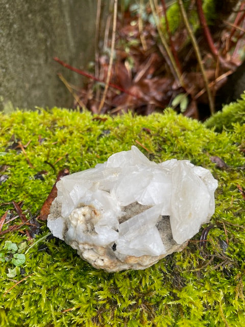 Dogtooth, Calcite Specimen w/ Aragonite Patches