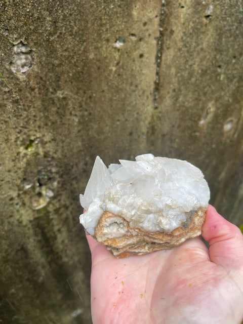 Dogtooth, Calcite Specimen w/ Aragonite Patches