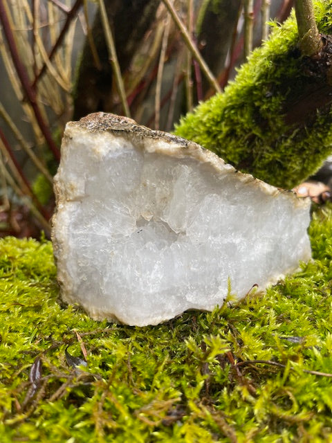 2 Inch Thick Quartz Crystal 'Teeth' w/ VUG