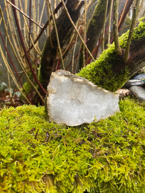 2 Inch Thick Quartz Crystal 'Teeth' w/ VUG