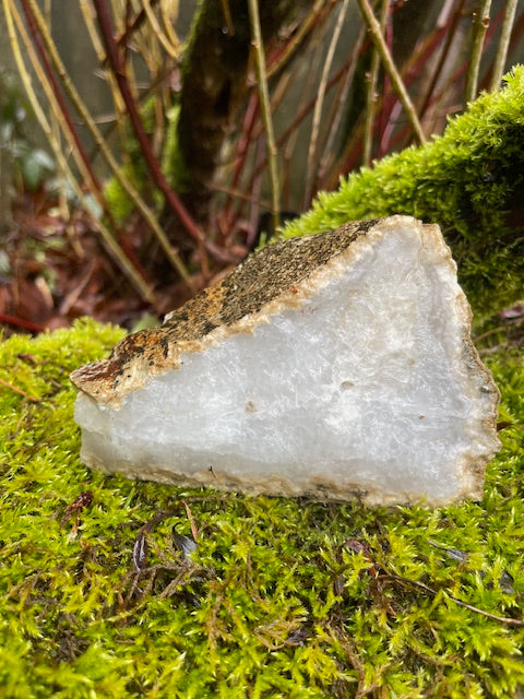 2 Inch Thick Quartz Crystal 'Teeth' w/ VUG