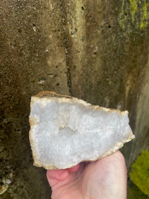 2 Inch Thick Quartz Crystal 'Teeth' w/ VUG