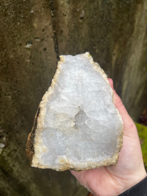 2 Inch Thick Quartz Crystal 'Teeth' w/ VUG