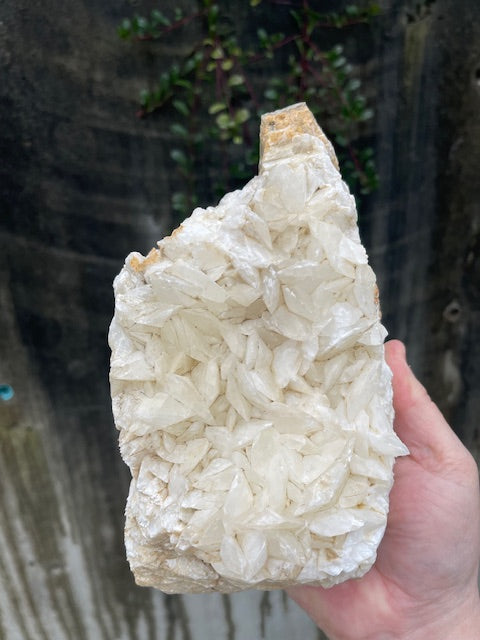 7+ Inch Tall Tropical UV Reactive Calcite Plate