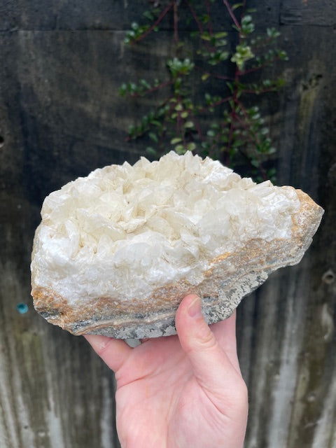 7+ Inch Tall Tropical UV Reactive Calcite Plate