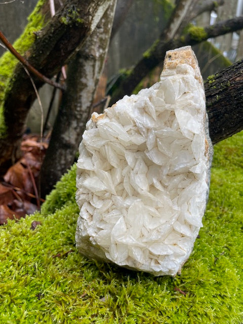 7+ Inch Tall Tropical UV Reactive Calcite Plate