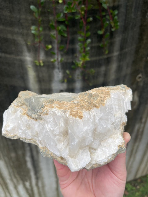 360 Degree Bladed Calcite Vein w/ UV Reactivity