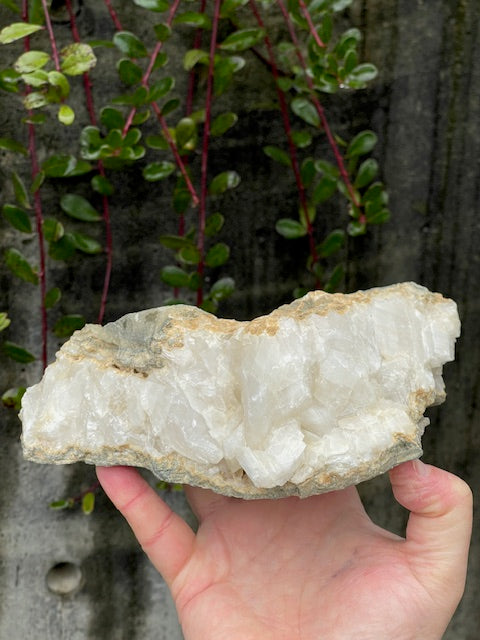 360 Degree Bladed Calcite Vein w/ UV Reactivity