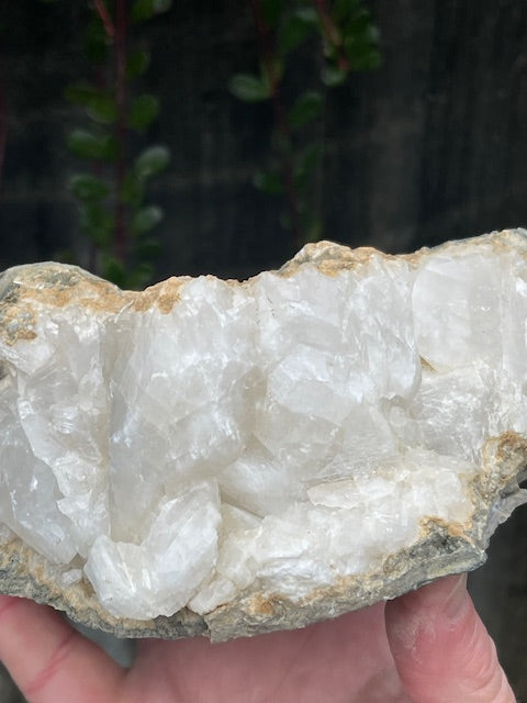 360 Degree Bladed Calcite Vein w/ UV Reactivity