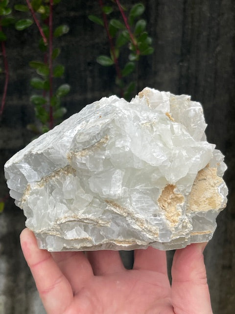 4lb Green Tinted Bladed Calcite Specimen