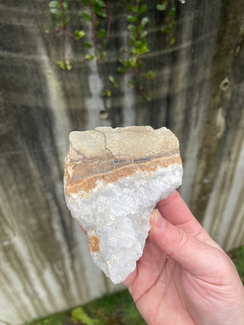 Tooth Shaped Quartz Crystal Specimen