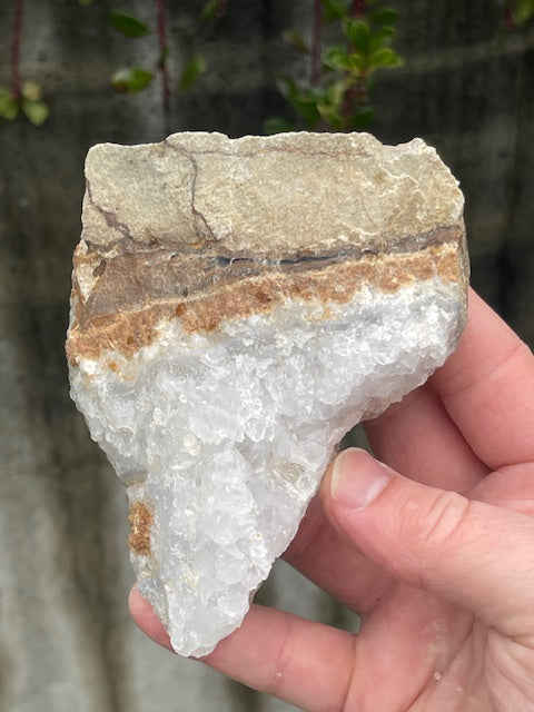 Tooth Shaped Quartz Crystal Specimen