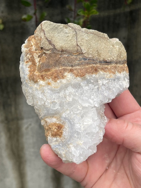 Tooth Shaped Quartz Crystal Specimen