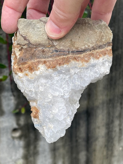 Tooth Shaped Quartz Crystal Specimen