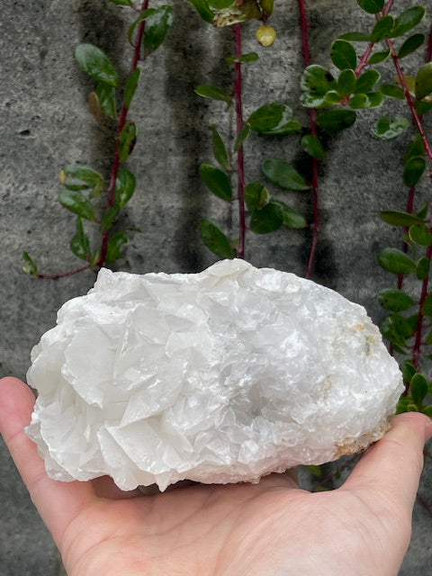 Bladed Calcite Specimen w/ Embedded Crystals