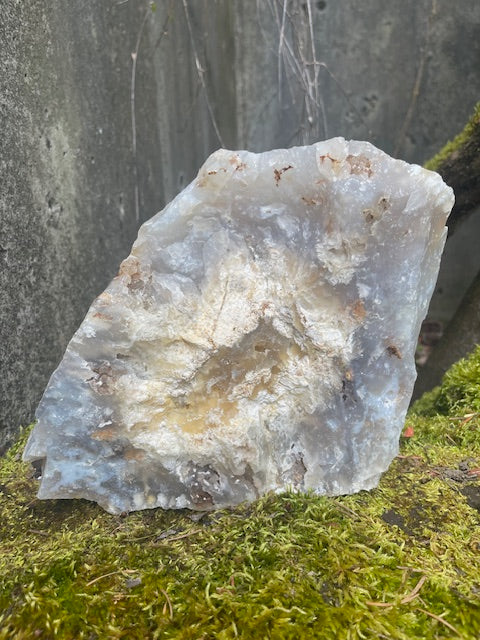 7+ Inch Plume Agate Specimen w/ VUG