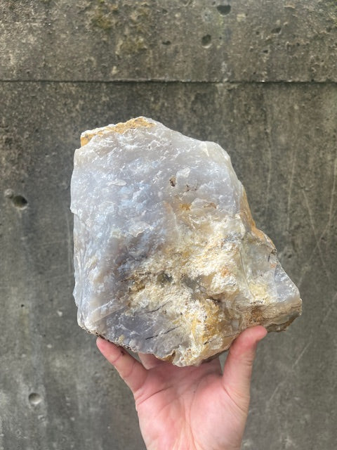 7+ Inch Plume Agate Specimen w/ VUG