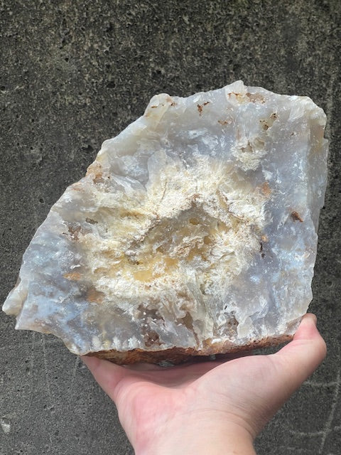 7+ Inch Plume Agate Specimen w/ VUG